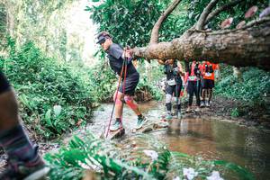 BIB: 
                            <button type="button" onclick="openModal(25515118)" class="btn btn-primary btn-sm float-right btn-popup" data-toggle="modal" data-target=".modal-high-quality">
                        <i class="fas fa-shopping-cart"></i> Add to Cart
                    </button>
                                            <button type="button" onclick="isThisMe(25515118, true)" class="btn btn-success btn-sm float-right btn-popup btn-isme hidden" data-toggle="tooltip" data-placement="bottom" title="นี่คือรูปของคุณใช่ไหม คลิกที่นี่เพื่อเอาเข้าอัลบั้ม">
                        <i class="fas fa-plus"></i> Add to album
                    </button>
                    <button type="button" onclick="isThisMe(25515118, false)" class="btn btn-warning btn-sm float-right btn-popup btn-isnotme hidden">
                        <i class="fas fa-ban"></i> Remove from album
                    </button>